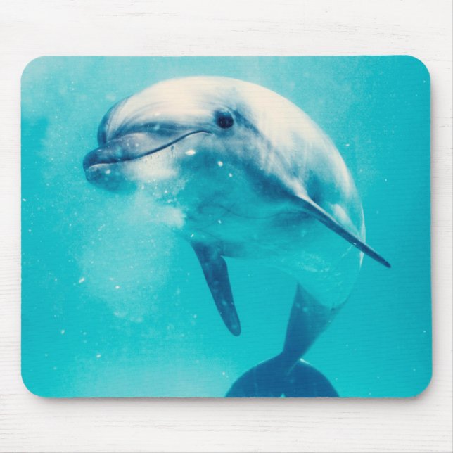Bottlenosed Dolphin Underwater Mouse Pad (Front)