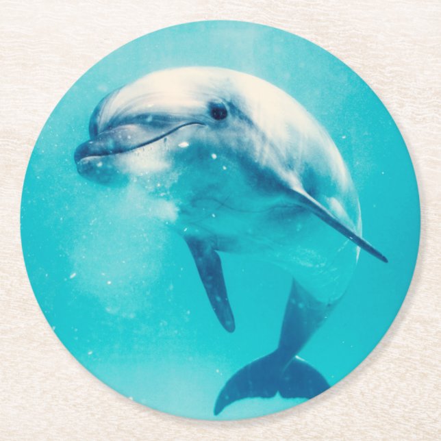 Bottlenosed Dolphin Underwater Round Paper Coaster (Front)