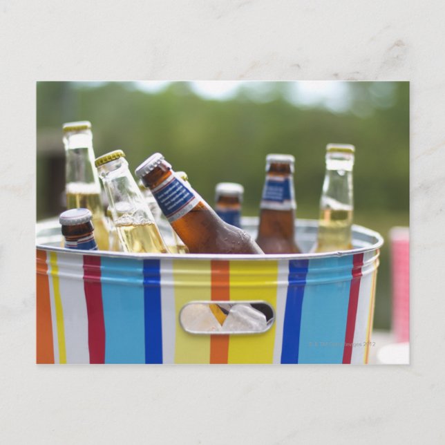 Bottles of beer in ice bucket postcard (Front)