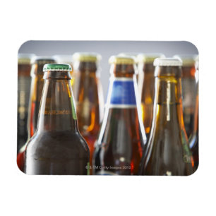 Bottles of various bottled beer in studio magnet