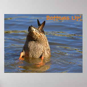 Bottoms Up Diving Duck Poster
