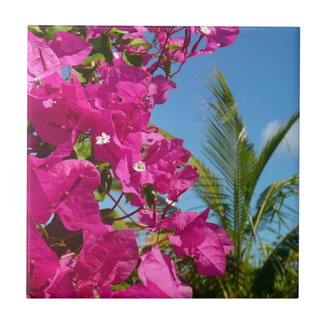Bougainvillea and Palm Tree Tropical Nature Scene Ceramic Tile (Front)