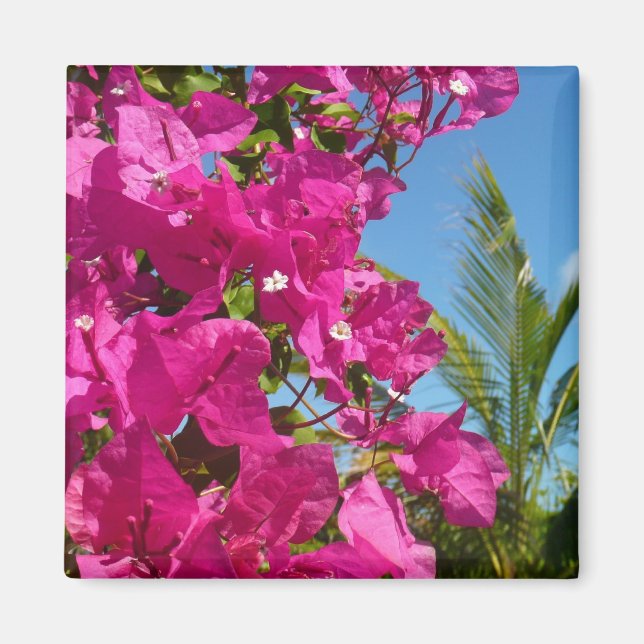 Bougainvillea and Palm Tree Tropical Nature Scene Magnet (Front)