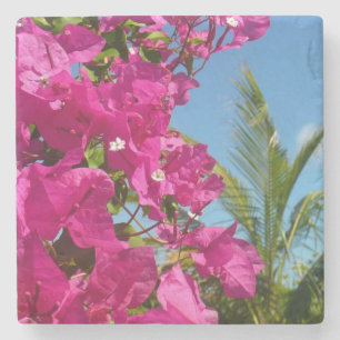 Bougainvillea and Palm Tree Tropical Nature Scene Stone Coaster