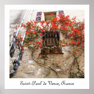 Bougainvillea at Window Poster