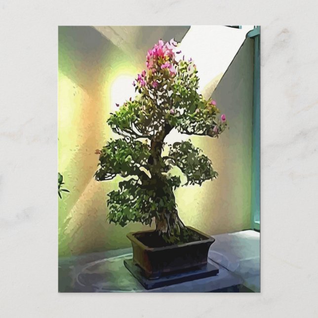Bougainvillea Bonsai Tree Postcard (Front)