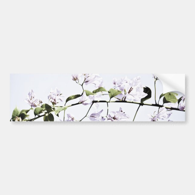 Bougainvillea Bumper Sticker (Front)