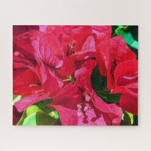 Bougainvillea Closeup Puzzle