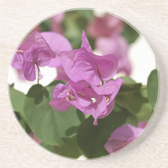 Bougainvillea Coaster (Front)