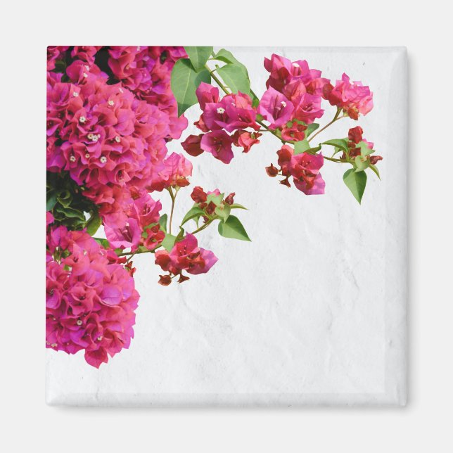 Bougainvillea Floral Mediterranean Greek Island Magnet (Front)