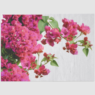 Bougainvillea Floral Mediterranean Greek Island Tissue Paper