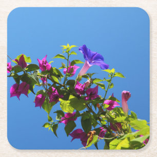 Bougainvillea Flower with Blue Sky Square Paper Coaster