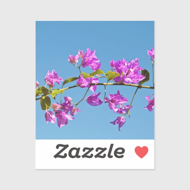 Bougainvillea Flowers (Sheet)