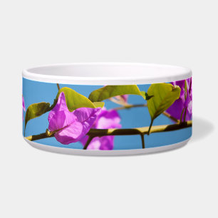 Bougainvillea Flowers