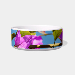 Bougainvillea Flowers Bowl
