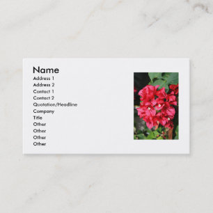 Bougainvillea Flowers Business Card