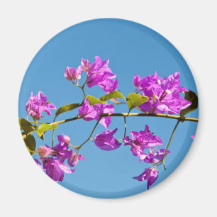 Bougainvillea Flowers Magnet
