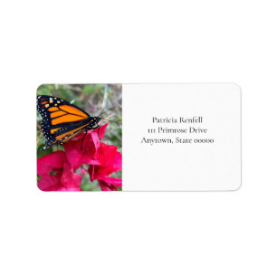 Bougainvillea flowers with monarch butterfly label