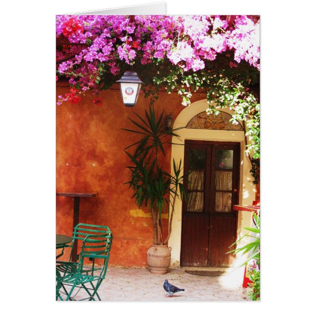 Bougainvillea growing outside a house, Mykonos, Gr (Front)