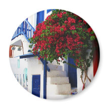 Bougainvillea growing outside a house, Mykonos