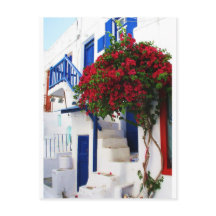 Bougainvillea growing outside a house, Mykonos