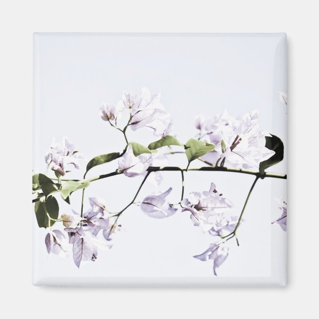 Bougainvillea Magnet (Front)