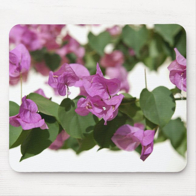 Bougainvillea Mouse Pad (Front)
