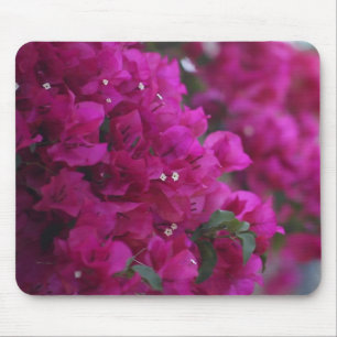 bougainvillea mousepad