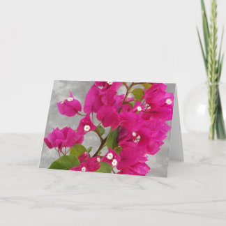 Bougainvillea Note Cards
