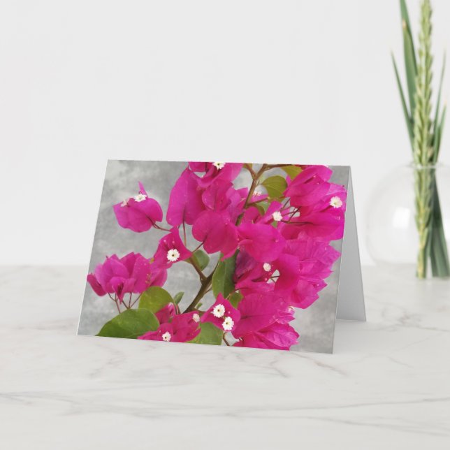Bougainvillea Note Cards (Front)