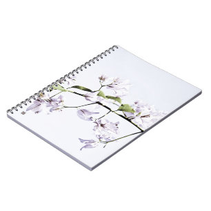 Bougainvillea Notebook