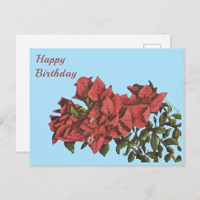 Bougainvillea Postcard (Front/Back)