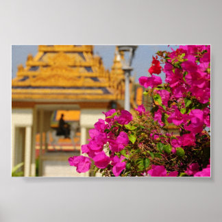 Bougainvillea Poster
