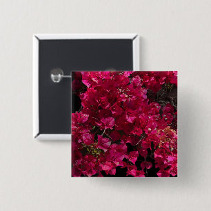 Bougainvillea Red Tropical Vining Shrub Photo 15 Cm Square Badge