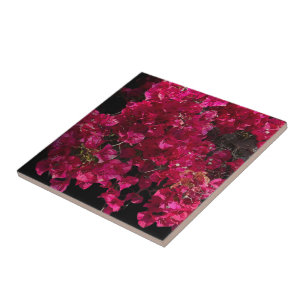 Bougainvillea Red Tropical Vining Shrub Photo Ceramic Tile