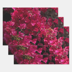 Bougainvillea Red Tropical Vining Shrub Photo Wrapping Paper Sheet