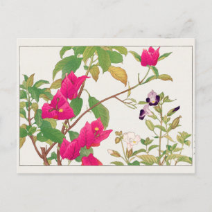 Bougainvillea, Wishbone flower by Tanigami Konan Postcard