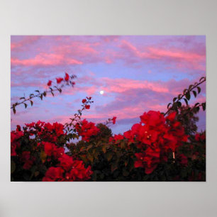 Bougainvilleas and Full Moon at Sunset Poster