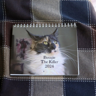 Bougie Dilute Calico Maine Coon Cat Calendar