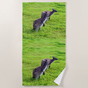 Boundless Horizons: Grey Kangaroos on Grassy Plain Beach Towel