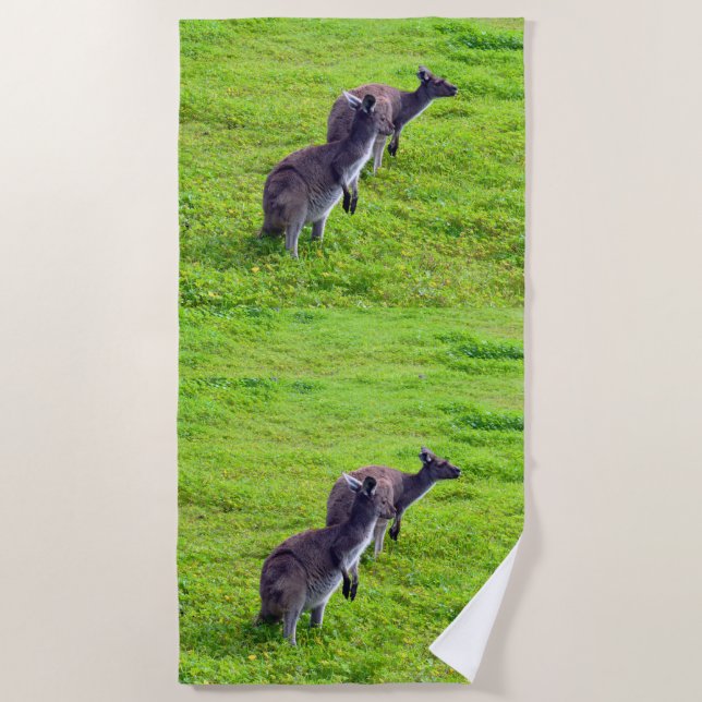 Boundless Horizons: Grey Kangaroos on Grassy Plain Beach Towel (Front)