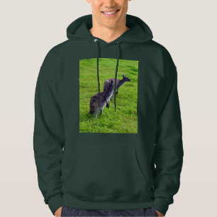 Boundless Horizons: Grey Kangaroos on Grassy Plain Hoodie