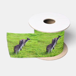 Boundless Horizons: Grey Kangaroos on Grassy Plain Satin Ribbon