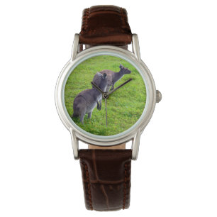 Boundless Horizons: Grey Kangaroos on Grassy Plain Watch