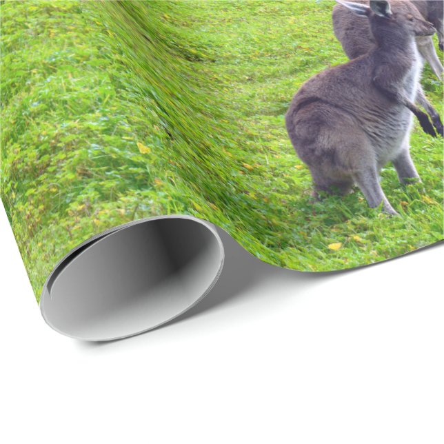 Boundless Horizons: Grey Kangaroos on Grassy Plain Wrapping Paper (Roll Corner)