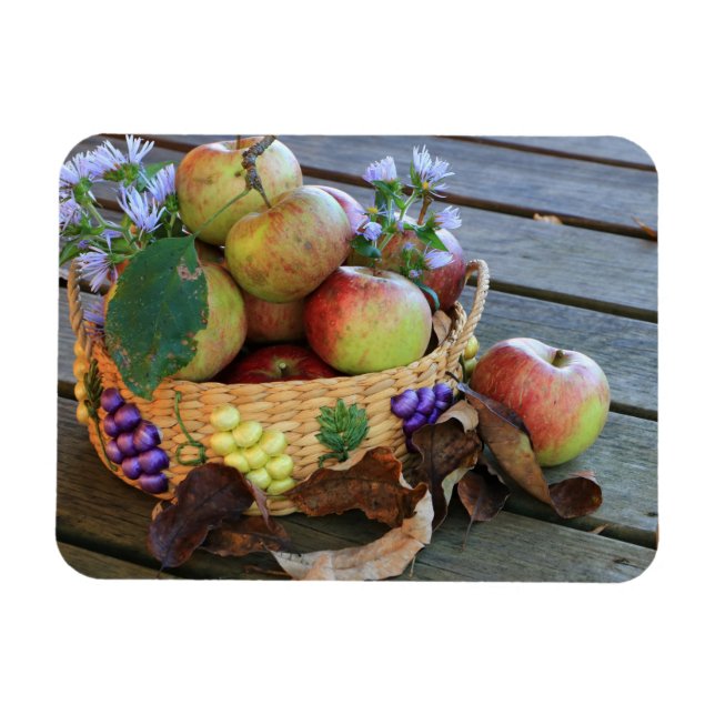 Bountiful Harvest Basket of Delicious Apples Magnet (Horizontal)