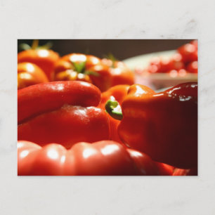 Bountiful Harvest Postcard