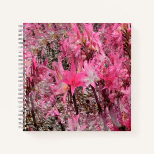 Bouquet of Amaryllis..... Notebook