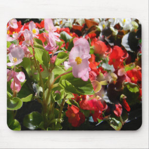 Bouquet of Begonias... Mouse Pad