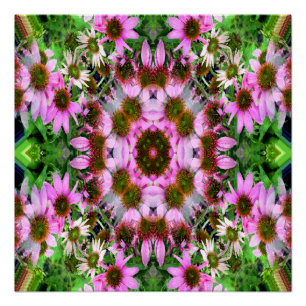 Bouquet of Echanicea... Poster